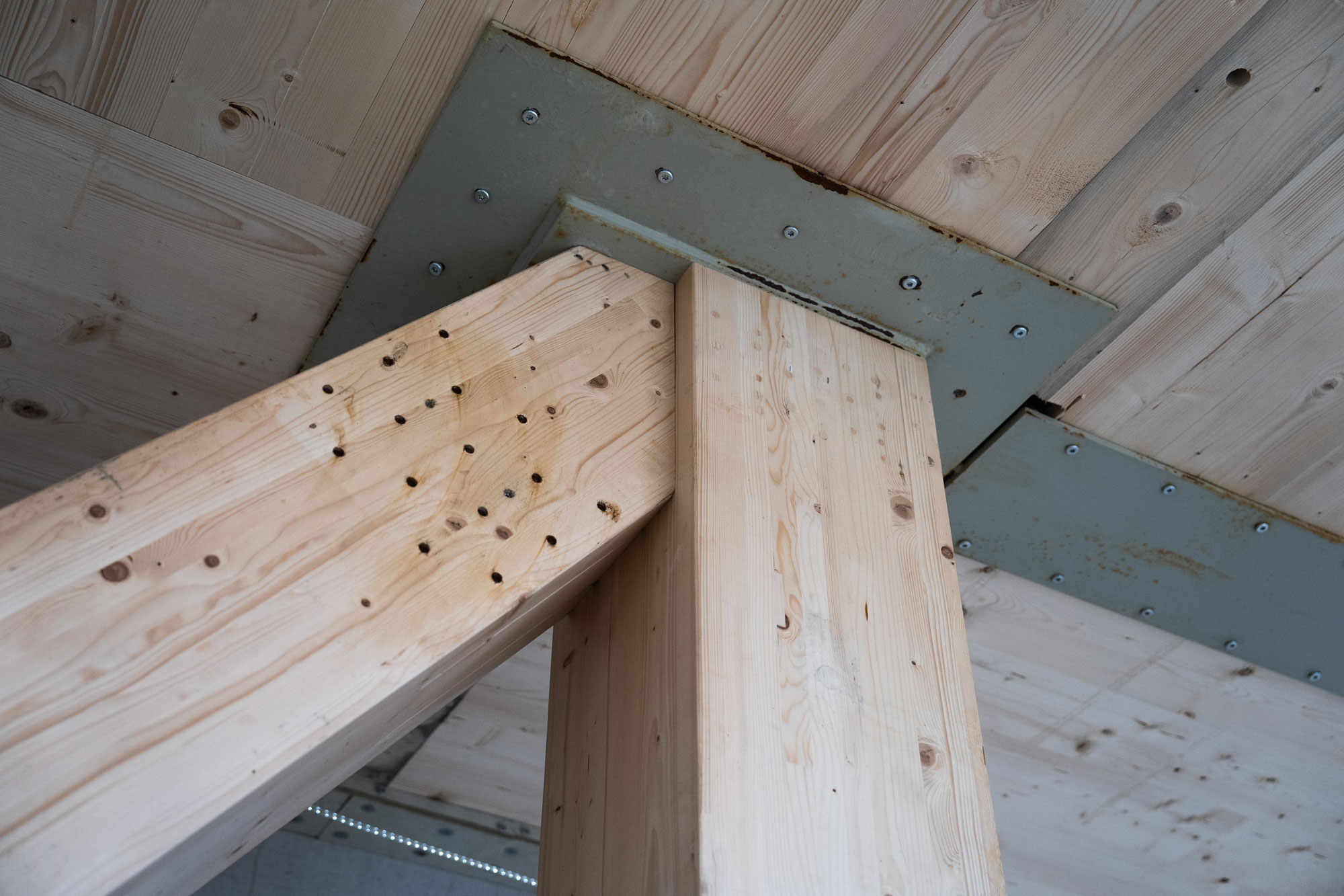 TRÆ-240321-32_Krediter-Anders-Nymann-Wejse,-Velkendt_smalll